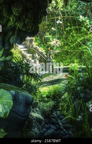 Une image d'un jardin luxuriant Bali Indonésie Banque D'Images