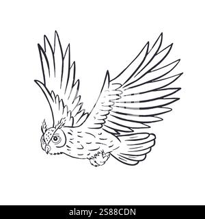 Dessin à la main ligne noir et blanc art aigle-hibou volant Illustration de Vecteur