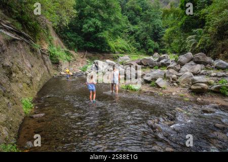 Deux amis proches passent une journée délicieuse et paisible pataugant dans une belle rivière tranquille, qui est entourée d'une végétation luxuriante et vibrante et lisse Banque D'Images