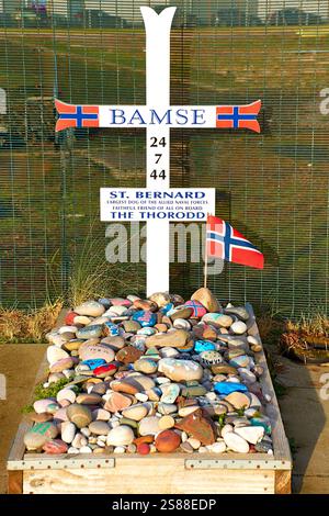 Bamse tombe et de nombreuses pierres peintes à Montrose en Écosse était une mascotte de chien Bernard des Forces norvégiennes libres pendant la seconde Guerre mondiale Banque D'Images