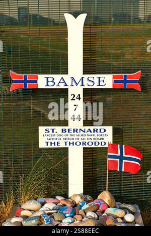Bamse tombe et pierres peintes à Montrose en Écosse était une mascotte de chien Bernard des Forces norvégiennes libres pendant la seconde Guerre mondiale Banque D'Images