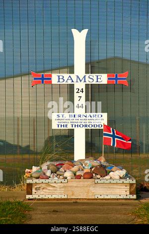 Bamse grave à Montrose Scotland était une mascotte de chien Bernard des Forces norvégiennes libres pendant la seconde Guerre mondiale Banque D'Images