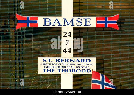 Bamse grave à Montrose Scotland était un chien Bernard la mascotte des Forces norvégiennes libres pendant la seconde Guerre mondiale Banque D'Images