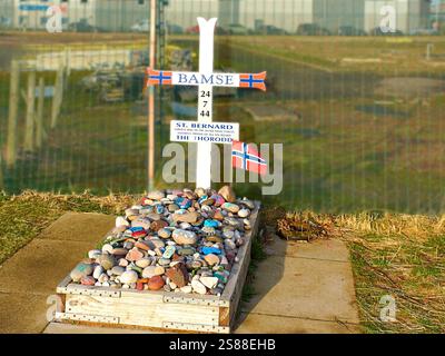 Bamse sa tombe à Montrose en Écosse était un chien Bernard la mascotte des Forces norvégiennes libres pendant la seconde Guerre mondiale Banque D'Images