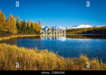 Paysage d'automne paisible avec un lac tranquille entouré de feuillages dorés vibrants et de sommets enneigés. Banque D'Images
