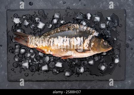 Poisson de carpe cru nettoyé réfrigéré sur de la glace sur un fond noir, gros plan, vue de dessus. dorado biologique frais cru ou poisson de dorade de mer sur ardoise noire Banque D'Images