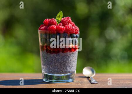 Pudding de chia sain dans un verre avec des baies fraîches sur fond de nature, gros plan. Graines de chia dans le lait de coco avec framboises, bleuets, confiture et h. Banque D'Images