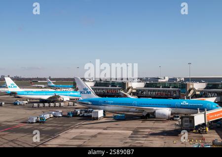 Avion de la compagnie aérienne KLM à l'aéroport de Schiphol à Amsterdam. Banque D'Images