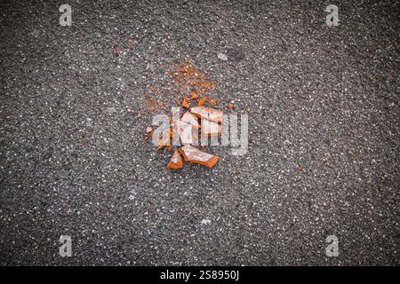 Copenhague, Danemark. 29 janvier 2024. Vue d'un éclat de toit cassé sur un trottoir. (Photo de Kristian Tuxen Ladegaard Berg/SOPA images/SIPA USA) crédit : Sipa USA/Alamy Live News Banque D'Images
