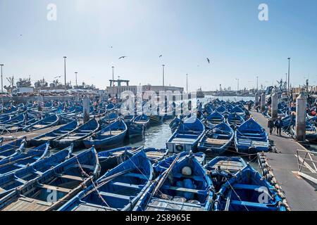 Des dizaines de petits bateaux de pêche dans le port d'Essaouira, Maroc. Un grand marché aux poissons a lieu sur la jetée ici. Banque D'Images
