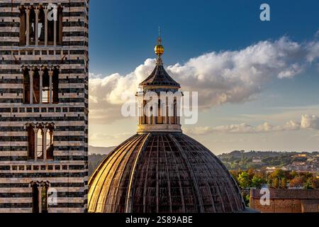 Le dôme et le clocher de la cathédrale de Sienne dans le soleil de fin d'après-midi vu du Panorama dal Facciatone à Sienne, Italie Banque D'Images