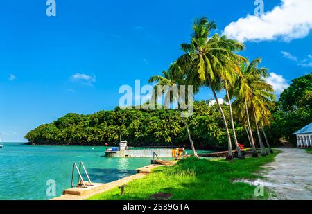 Port dans une ancienne colonie pénitentiaire sur l'Ile Royale, les îles du Salut en Guyane française, Amérique du Sud Banque D'Images