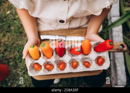 Mains tenant le carton d'oeufs avec des légumes Banque D'Images