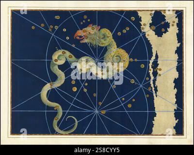 Astronomie. Der Himmelsatlas, die Uranometria, ptolemäische Sternbilder, von Johann Bayer 1572 - 7. März 1625, deutscher Astronom, Draco, der Drache, zirkumpolares Sternbild, Digital verbesserte Reproduktion einer historischen Vorlage Banque D'Images