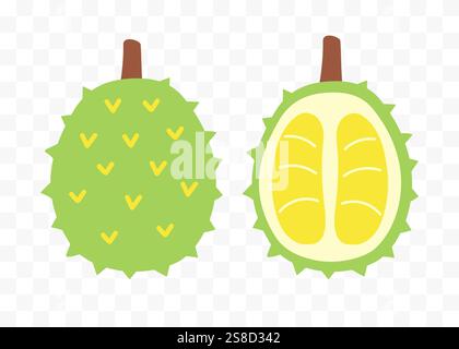 Ensemble de vecteurs de fruits tropicaux entiers et demi durian Illustration de Vecteur