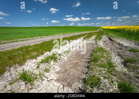 Eau restante dans une flaque et terre sèche à côté des champs agricoles avec un chemin de terre, Staw, Lubelskie, Pologne Banque D'Images