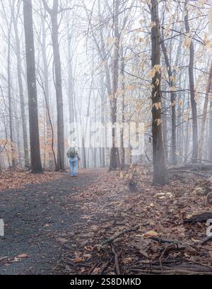 Randonneur explorant un sentier de forêt brumeuse pendant la saison d'automne Banque D'Images
