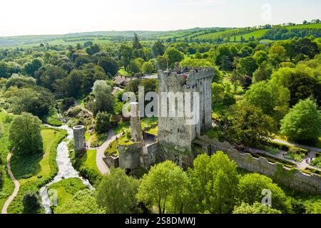 Château de Blarney, bastion médiévale à Blarney, près de Cork, connu pour sa légendaire pierre magique de Blarney alias pierre d'Eloquence, et reno Banque D'Images