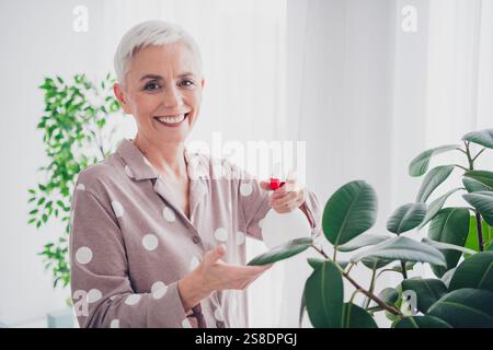 Charmante femme âgée avec de courtes plantes d'arrosage de cheveux gris dans son appartement confortable portant un pyjama à pois Banque D'Images