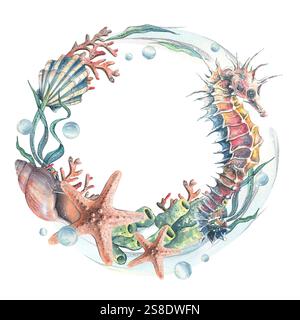 Hippocampe, coraux, éponges de mer, algues, coquillages, étoiles de mer et bulles. Illustration à l'aquarelle dessinée à la main sur le thème des animaux marins et du underwate Banque D'Images