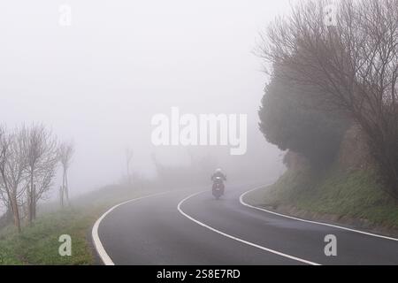 Vue arrière d'un motocycliste méconnaissable naviguant sur une route sinueuse enveloppée d'un épais brouillard avec des arbres arides sur le bord de la route. Banque D'Images