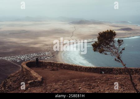 Une vue imprenable sur Lanzarote, affichant un vaste paysage côtier. Un arbre solitaire se dresse contre l'horizon pittoresque, où le sable rencontre la mer Azur. Banque D'Images