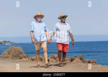 Un couple gay senior marche main dans la main le long d'un chemin pittoresque en bord de mer. Les deux hommes portent des chapeaux d'été et des vêtements décontractés, profitant du temps ensoleillé et Banque D'Images