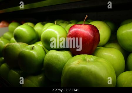 Une seule pomme rouge se distingue parmi une mer de pommes vertes. Banque D'Images