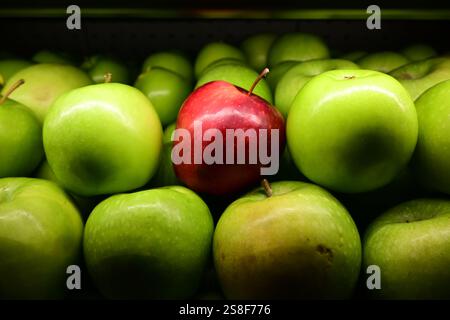 Une seule pomme rouge se distingue parmi une mer de pommes vertes. Banque D'Images