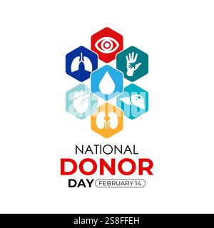Graphique vectoriel sur le thème de la journée nationale des donateurs d'organes observée chaque année le 14 février. Don d'organes, d'yeux et de tissus. Affiche de bannière. Illustration de Vecteur