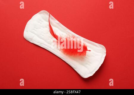 Tampon menstruel avec plume sur fond rouge, vue de dessus Banque D'Images