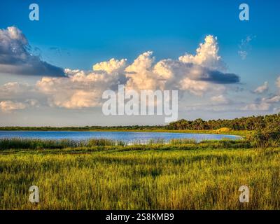 Lac supérieur Myakka dans le parc national de Myakka River, Sarasota, Floride, États-Unis Banque D'Images