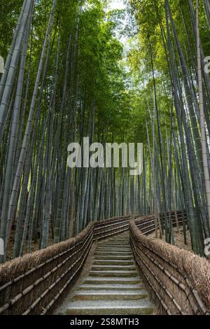 Escalier en pierre menant à travers une forêt de bambous luxuriante à arashiyama, japon Banque D'Images