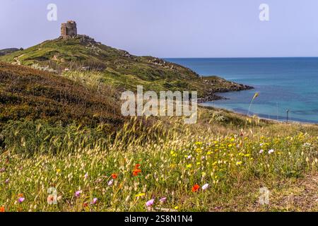 Halbinsel Sinis und historische Ruinen, area archeologica di Tharros Archäologisches Museum, Tharros, Europa, Provinz Oristano, Italien Banque D'Images