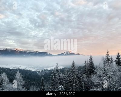 Un panorama hivernal serein avec une chaîne de montagnes enneigée, des arbres couverts de gel et une vallée brumeuse tranquille en contrebas, illuminée par le colo chaud Banque D'Images