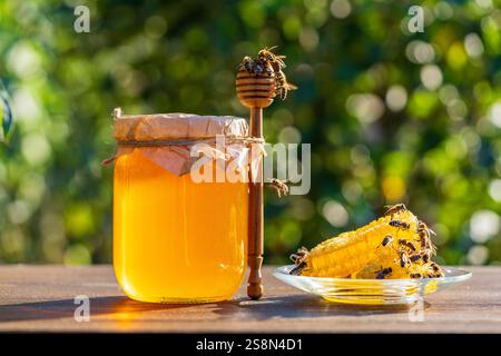 Miel frais avec un plongeur de miel en bois et des abeilles sauvages le jour ensoleillé sur fond de nature, gros plan. Concept d'alimentation saine. Miel floral biologique en g Banque D'Images