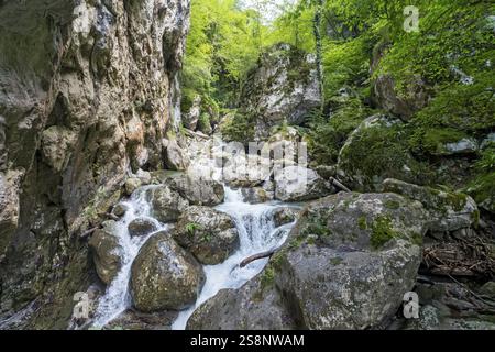 Sass Corbee, Lac de Côme, Lago di Côme, Italie, Europe Banque D'Images