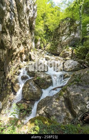 Sass Corbee, Lac de Côme, Lago di Côme, Italie, Europe Banque D'Images