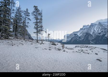 Pins sur la rive rocheuse du lac Minnewanka gelé dans le parc national Banff, Alberta, Canada Banque D'Images