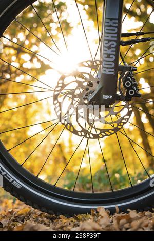 Gros plan d'une jante de vélo avec frein à disque dans la lumière d'automne, e-bike, vélo forestier, Calw, district de Calw, forêt Noire, Allemagne, Europe Banque D'Images