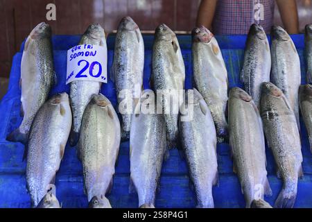 Poisson fraîchement pêché sur un marché avec une étiquette de prix, Istanbul, Istanbul Modern, Istanbul, Turquie, Asie Banque D'Images