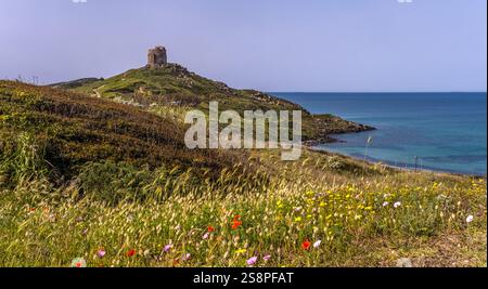 Péninsule de Sinis et ruines historiques, zone Archeologica di Tharros Musée archéologique, Tharros, Europe, Province d'Oristano, Italie Banque D'Images