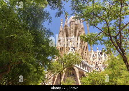 Des arbres verts encadrant la sagrada familia à barcelone, en espagne, par une journée d'été ensoleillée, mettant en valeur l'architecture emblématique et la beauté naturelle Banque D'Images