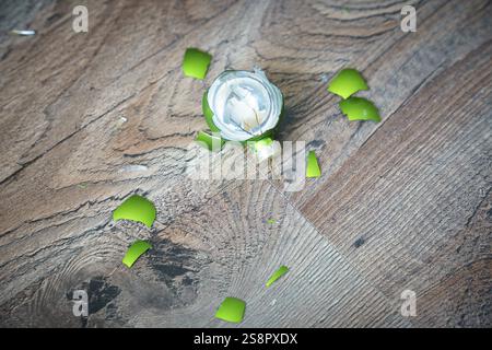 Une image d'une boule de noël brisée sur le sol Banque D'Images