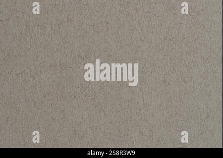 Macro d'arrière-plan de texture de papier gris sans couture vue rapprochée Banque D'Images