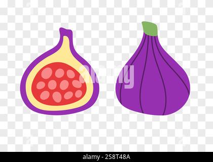 Jeu de vecteurs abstraits demi-figue et fruits entiers. Illustration de Vecteur