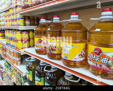 Kota Kinabalu, Malaisie - Jan 20, 2025 : différentes marques d'huile de cuisson exposées à la vente sur les étagères du supermarché malaisien Banque D'Images