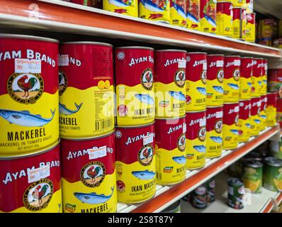 Kota Kinabalu, Malaisie - 20 janvier 2025 : maquereau et Sardine d'Ayam Brand dans une étagère de vente au supermarché. Banque D'Images