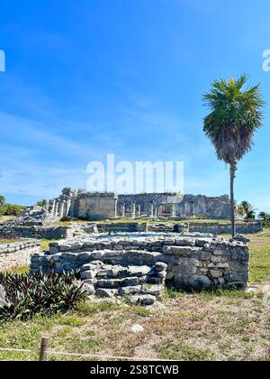 Ruines mayas à Tulum au Mexique Banque D'Images