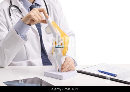 Médecin orthopédique avec un modèle d'os de genou sur un bureau isolé sur fond blanc Banque D'Images